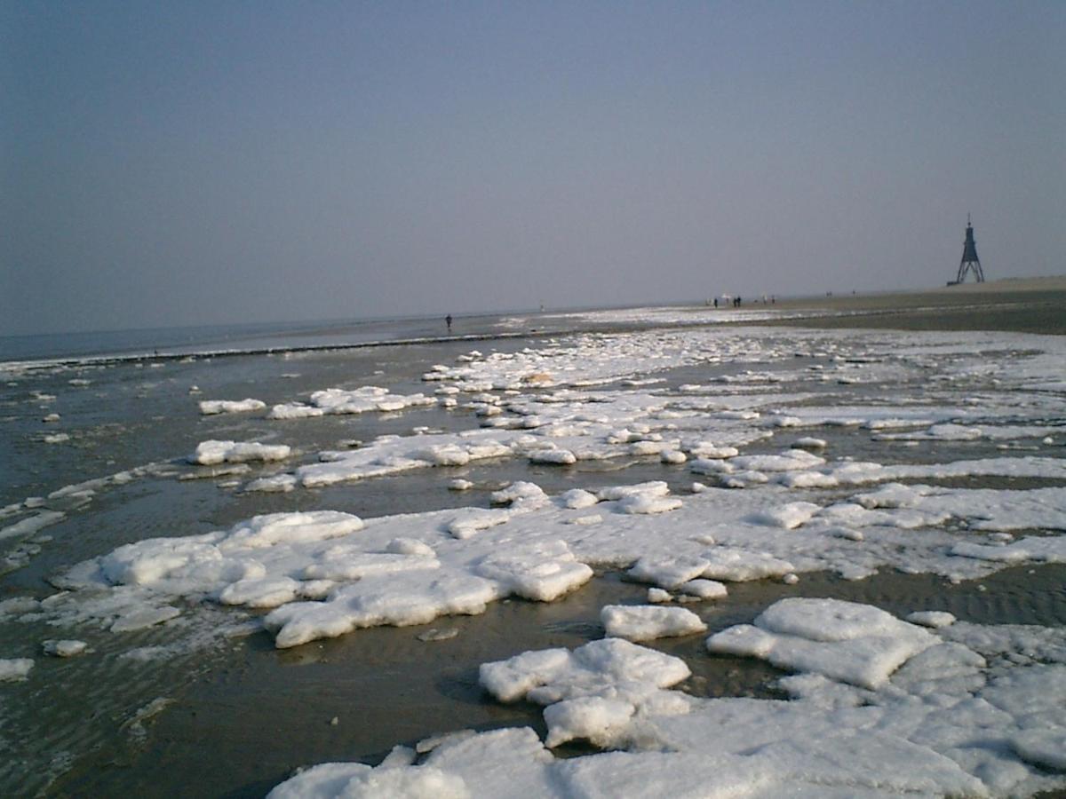 Ferienwohnung Nordsee Cuxhaven Dış mekan fotoğraf